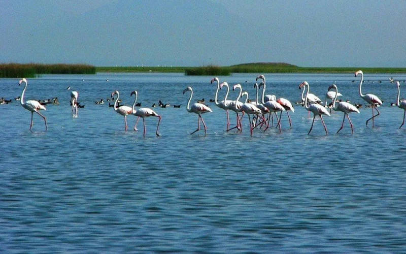 Chilika Lake