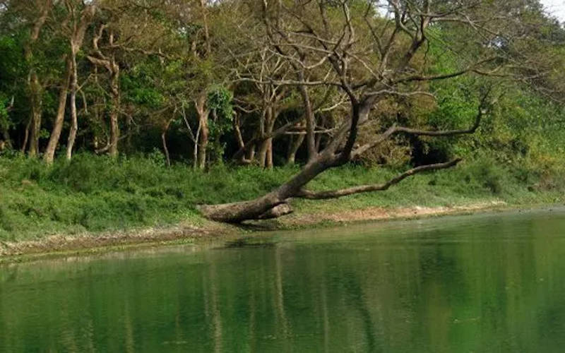 Bibhutibhushan Sanctuary