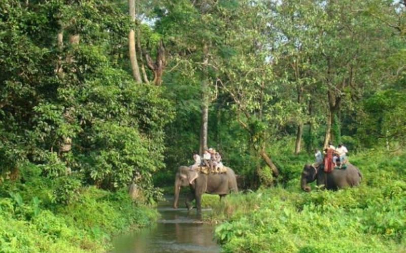 Gorumara National Park