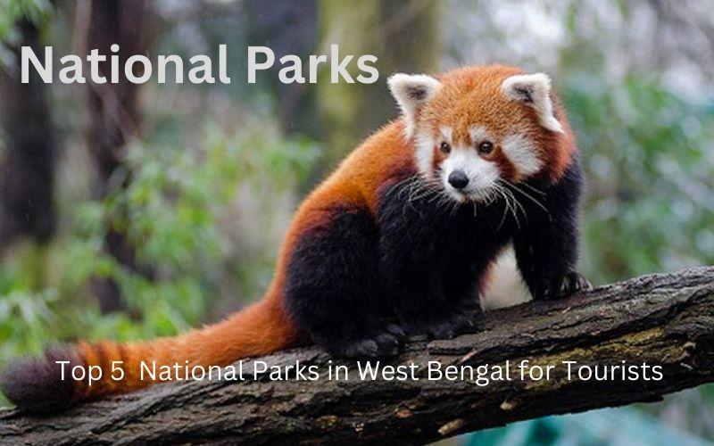 National Parks in West Bengal