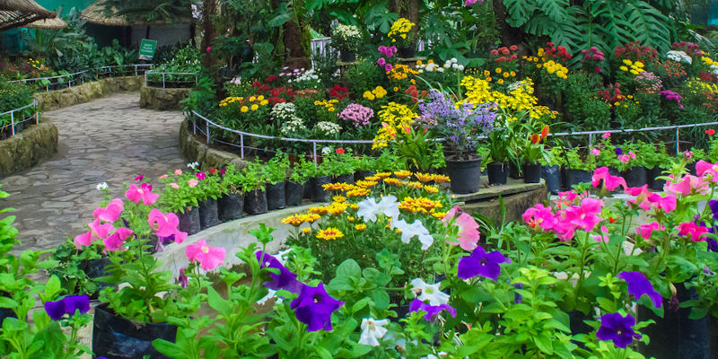 Flower Exhibition Center