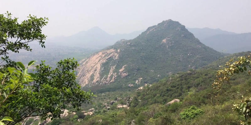 Nilagiri