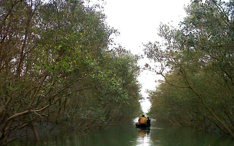 Sunderbans