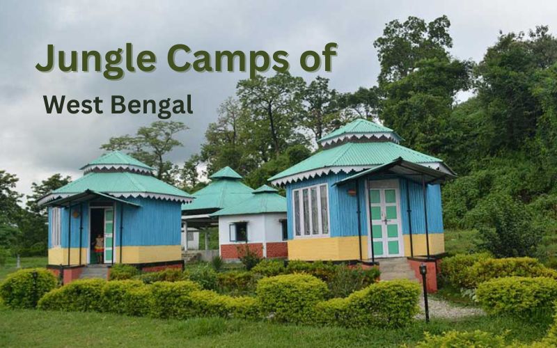 Jungle Camps of West Bengal