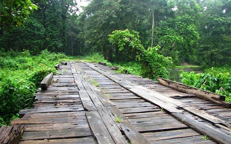 Chilapata Jungle Camps of West Bengal