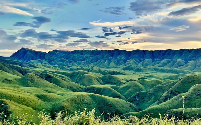 Dzukou Valley