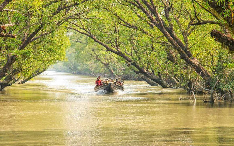 Sundarbans