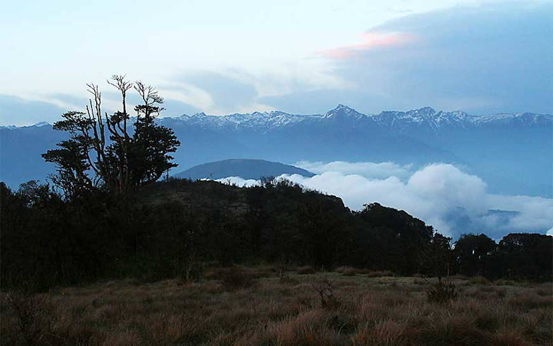 Neora Valley Trek - Rachela Pass